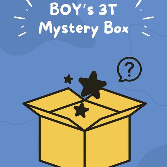BOY'S 3T Clothing Mystery Box - Picture 1 of 13